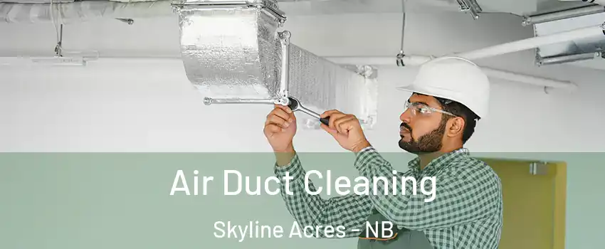  Air Duct Cleaning Skyline Acres - NB
