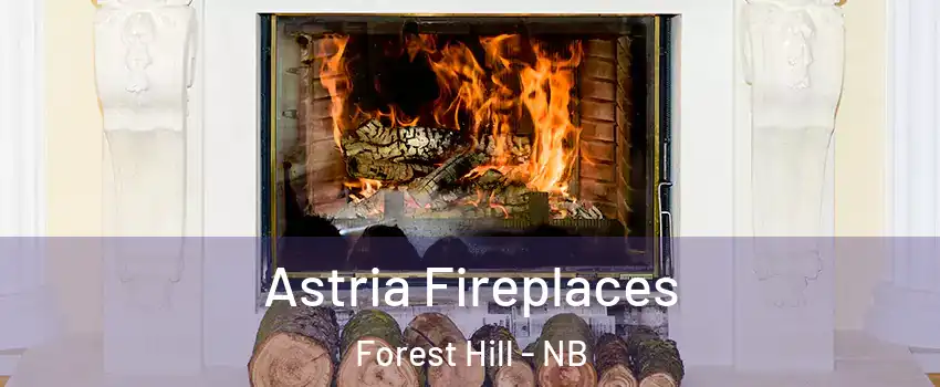  Astria Fireplaces Forest Hill - NB