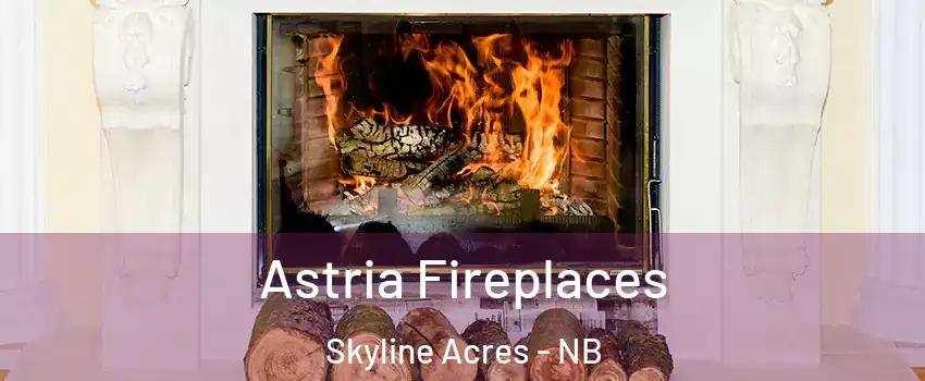  Astria Fireplaces Skyline Acres - NB