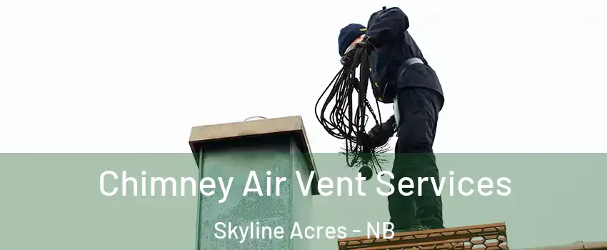 Chimney Air Vent Services Skyline Acres - NB