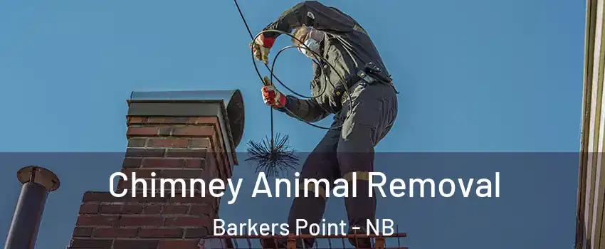  Chimney Animal Removal Barkers Point - NB
