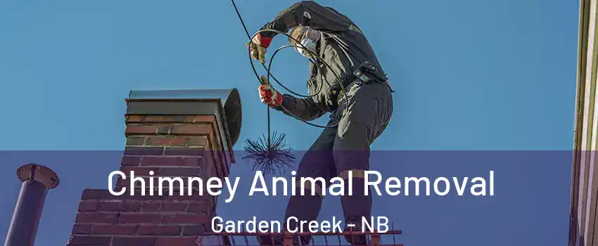  Chimney Animal Removal Garden Creek - NB