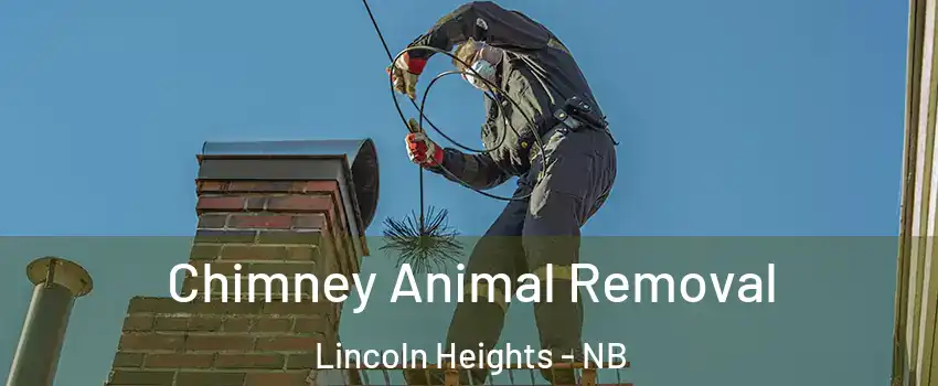  Chimney Animal Removal Lincoln Heights - NB