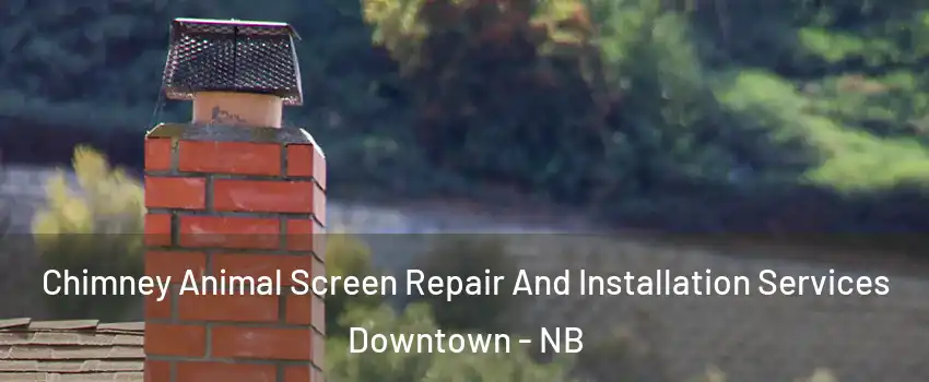  Chimney Animal Screen Repair And Installation Services Downtown - NB