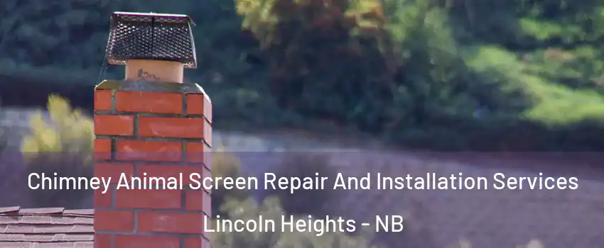  Chimney Animal Screen Repair And Installation Services Lincoln Heights - NB