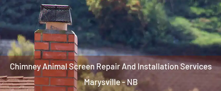  Chimney Animal Screen Repair And Installation Services Marysville - NB