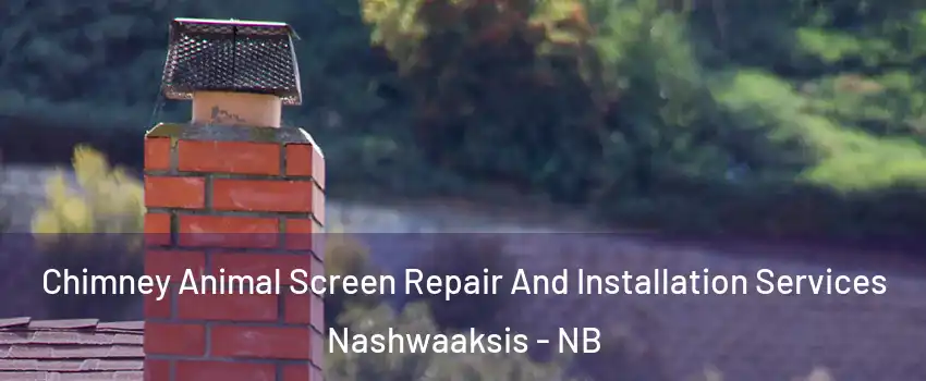  Chimney Animal Screen Repair And Installation Services Nashwaaksis - NB
