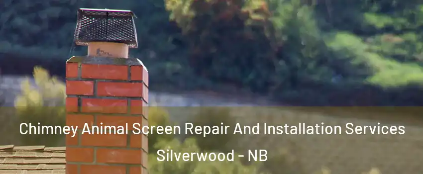  Chimney Animal Screen Repair And Installation Services Silverwood - NB
