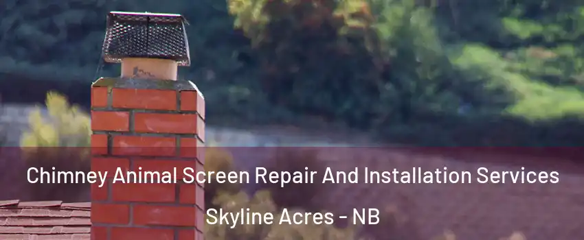  Chimney Animal Screen Repair And Installation Services Skyline Acres - NB