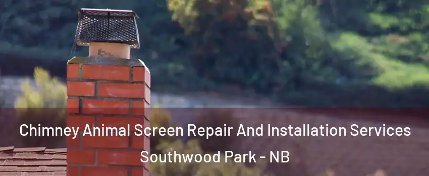  Chimney Animal Screen Repair And Installation Services Southwood Park - NB