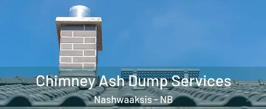  Chimney Ash Dump Services Nashwaaksis - NB