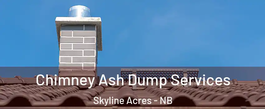  Chimney Ash Dump Services Skyline Acres - NB