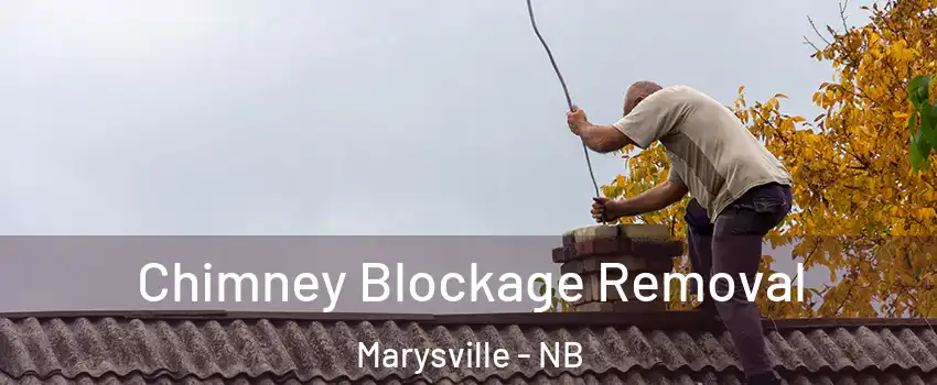  Chimney Blockage Removal Marysville - NB