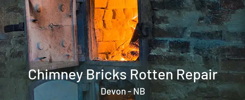  Chimney Bricks Rotten Repair Devon - NB