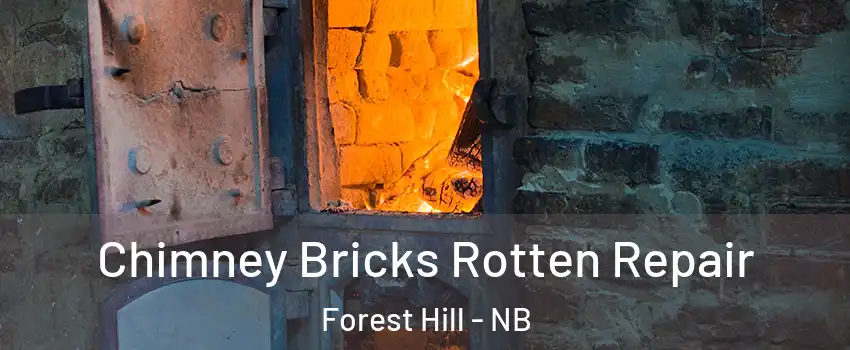  Chimney Bricks Rotten Repair Forest Hill - NB