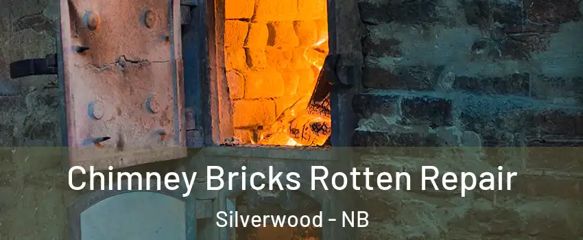  Chimney Bricks Rotten Repair Silverwood - NB