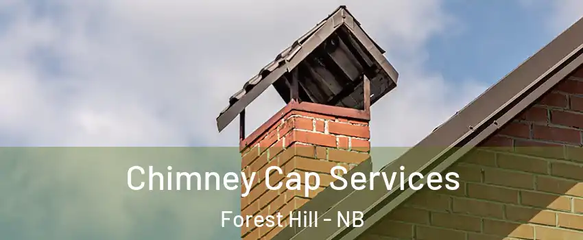  Chimney Cap Services Forest Hill - NB