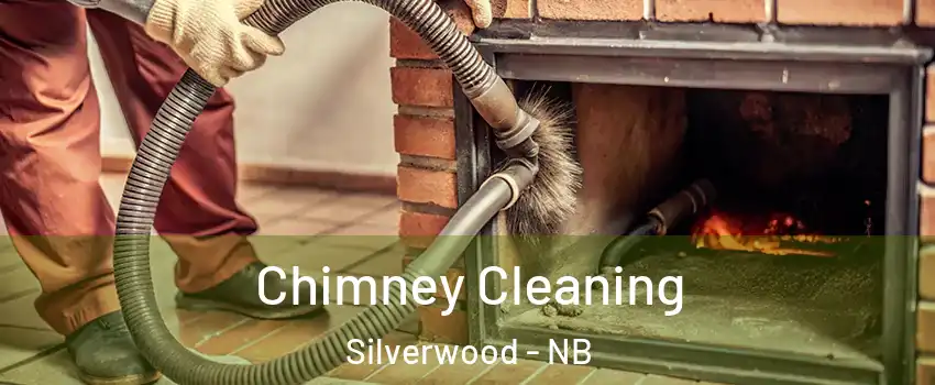  Chimney Cleaning Silverwood - NB