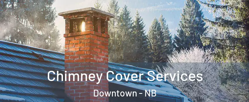 Chimney Cover Services Downtown - NB