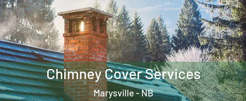  Chimney Cover Services Marysville - NB