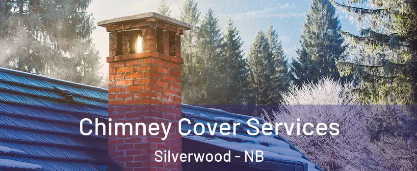  Chimney Cover Services Silverwood - NB