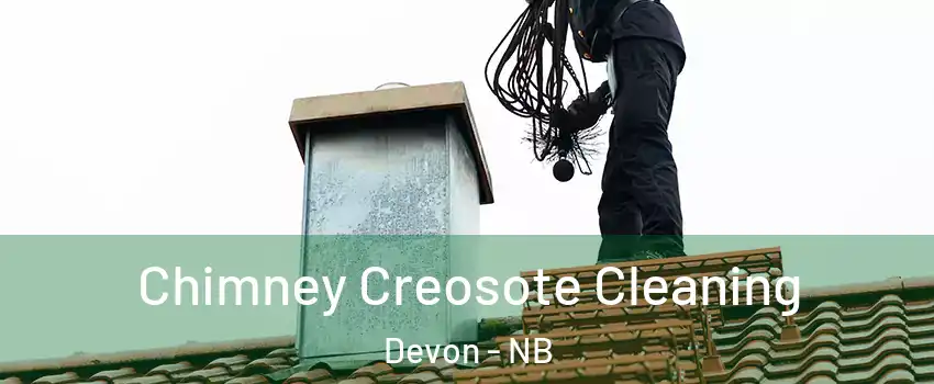  Chimney Creosote Cleaning Devon - NB