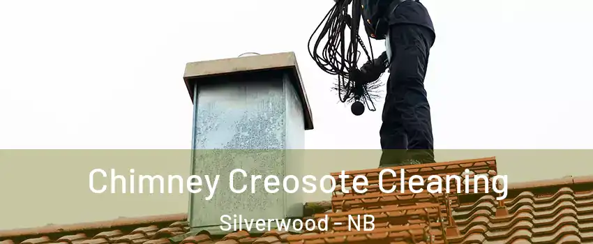  Chimney Creosote Cleaning Silverwood - NB
