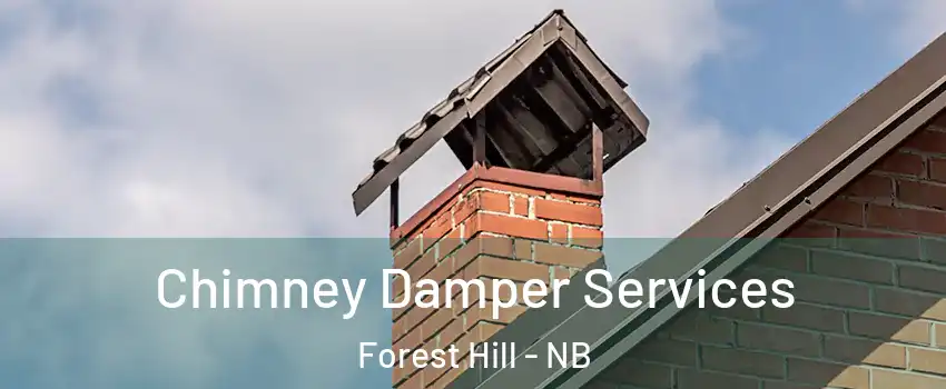  Chimney Damper Services Forest Hill - NB