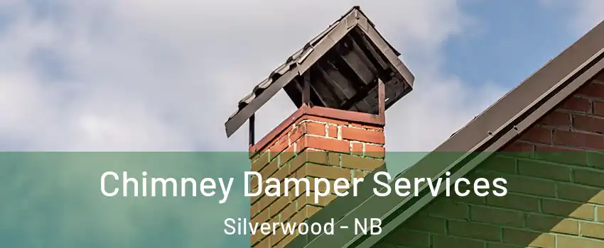  Chimney Damper Services Silverwood - NB
