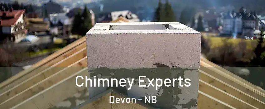  Chimney Experts Devon - NB