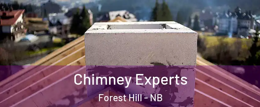 Chimney Experts Forest Hill - NB