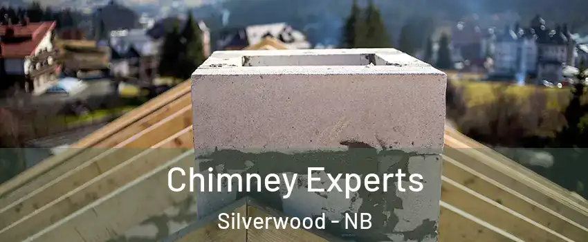  Chimney Experts Silverwood - NB