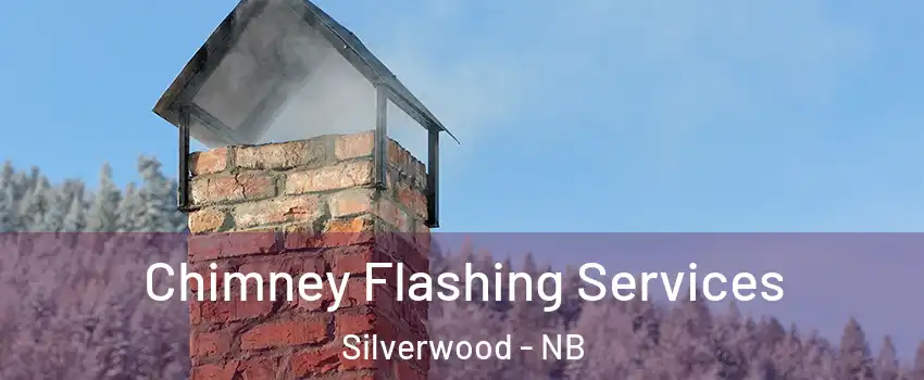  Chimney Flashing Services Silverwood - NB