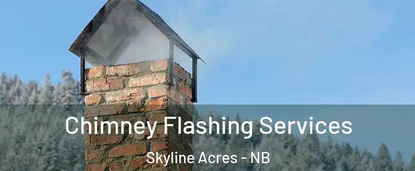  Chimney Flashing Services Skyline Acres - NB