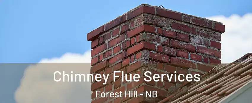  Chimney Flue Services Forest Hill - NB
