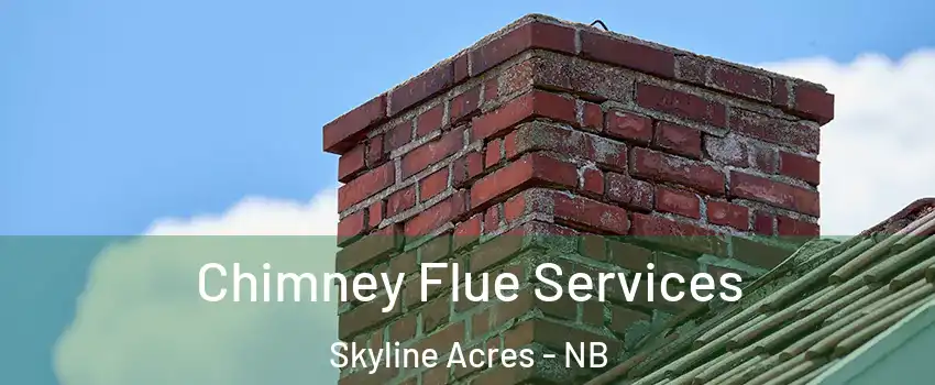  Chimney Flue Services Skyline Acres - NB