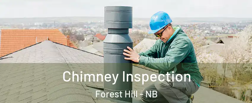 Chimney Inspection Forest Hill - NB