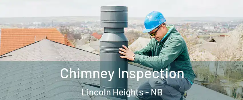  Chimney Inspection Lincoln Heights - NB