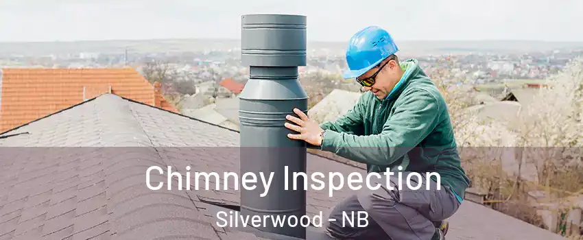  Chimney Inspection Silverwood - NB