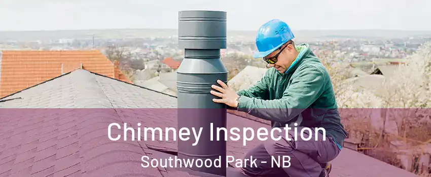  Chimney Inspection Southwood Park - NB