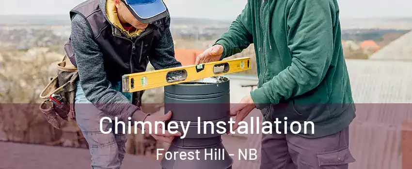  Chimney Installation Forest Hill - NB