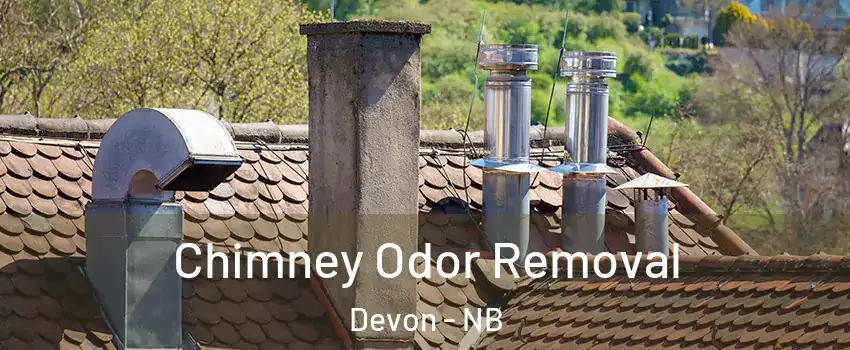  Chimney Odor Removal Devon - NB