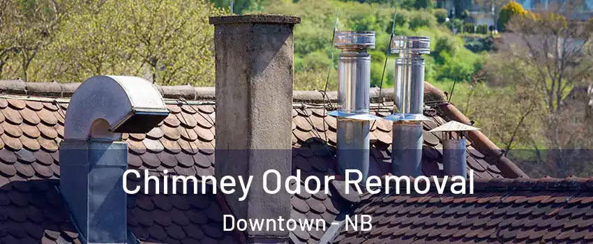 Chimney Odor Removal Downtown - NB