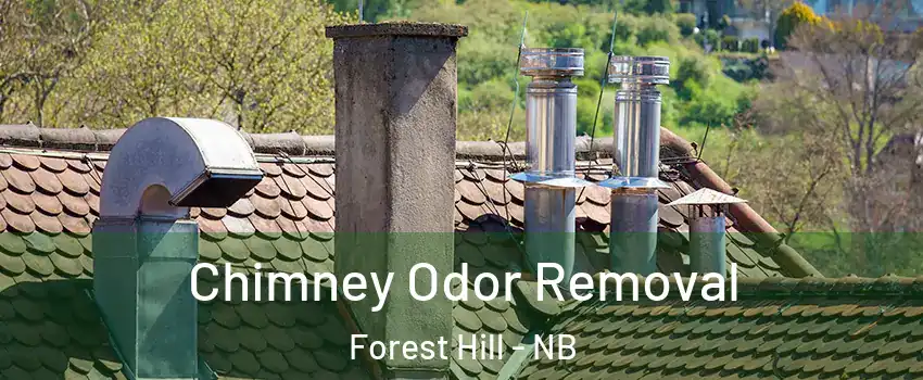  Chimney Odor Removal Forest Hill - NB