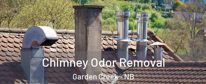  Chimney Odor Removal Garden Creek - NB