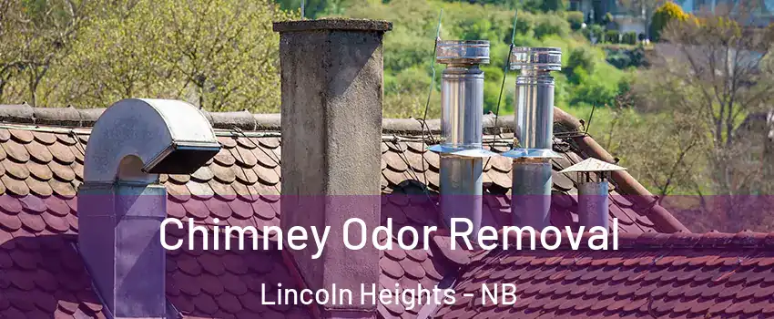  Chimney Odor Removal Lincoln Heights - NB