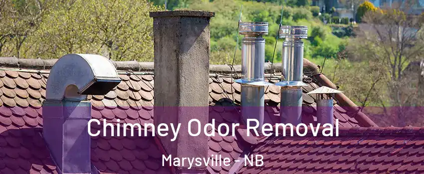  Chimney Odor Removal Marysville - NB