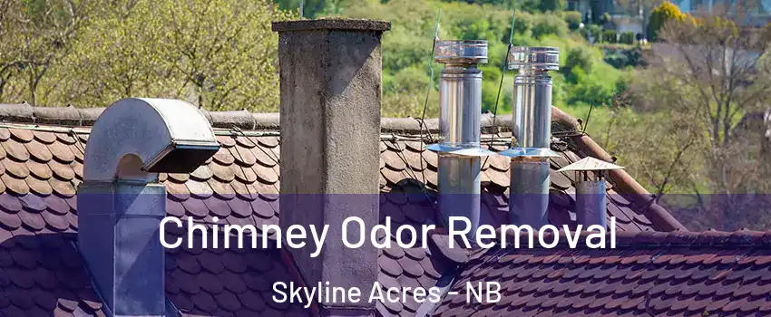 Chimney Odor Removal Skyline Acres - NB