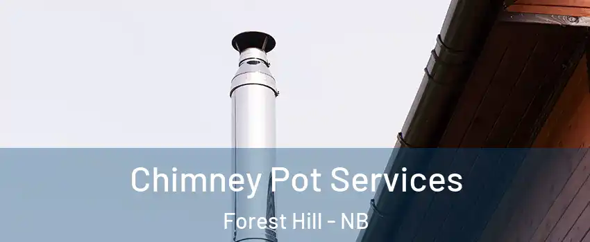  Chimney Pot Services Forest Hill - NB
