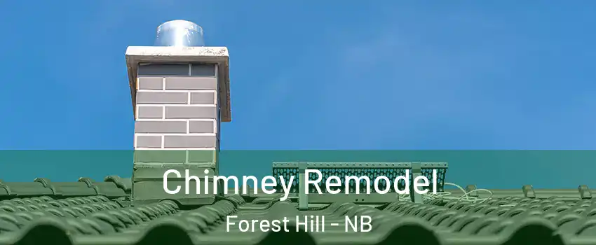  Chimney Remodel Forest Hill - NB